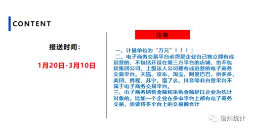 信息化與電子商務(wù)應(yīng)用情況填報(bào)指南 聚焦電子商務(wù)信息咨詢